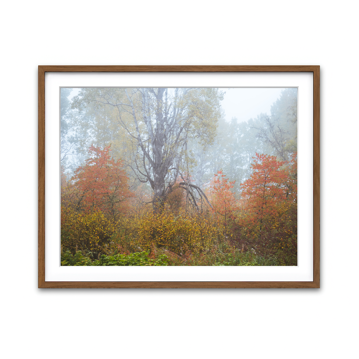 Framed Print 4x3 Walnut