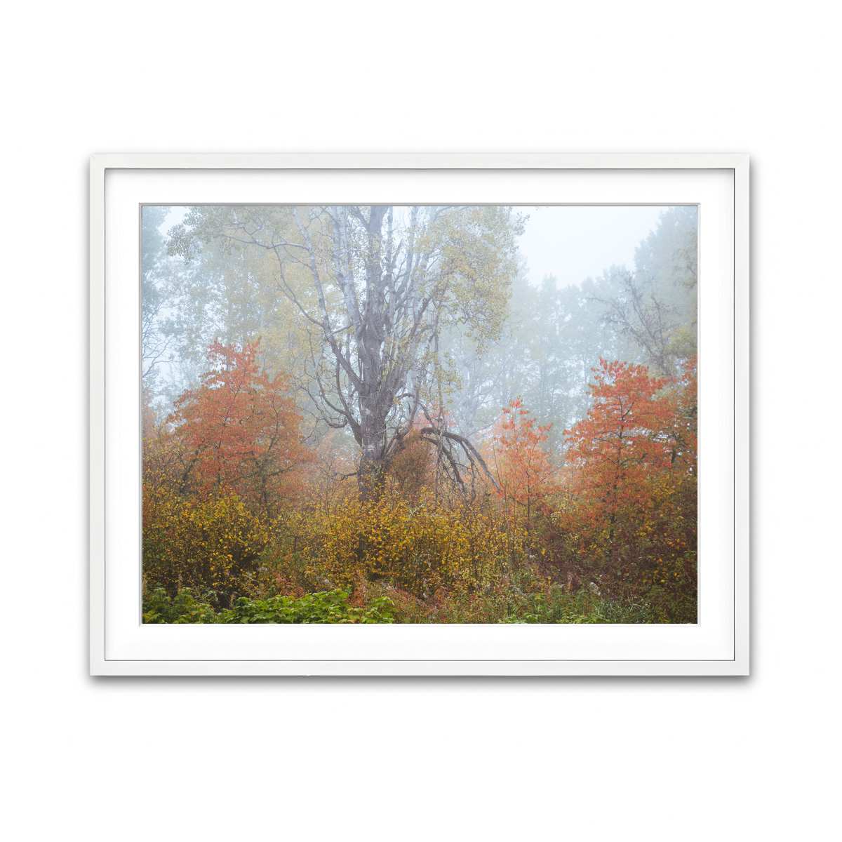 Framed Print 4x3 White