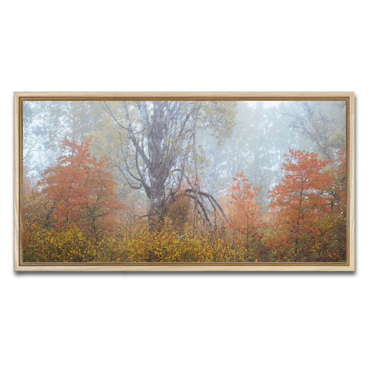 AUTO-MOCKUP WHITE | Fall Colors in Northern BC 1 | 1 Piece | Natural Framed Canvas | group=2x1