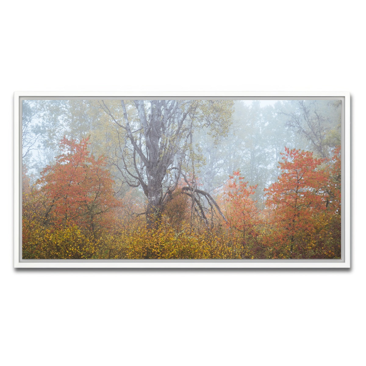 AUTO-MOCKUP WHITE | Fall Colors in Northern BC 1 | 1 Piece | White Framed Canvas | group=2x1