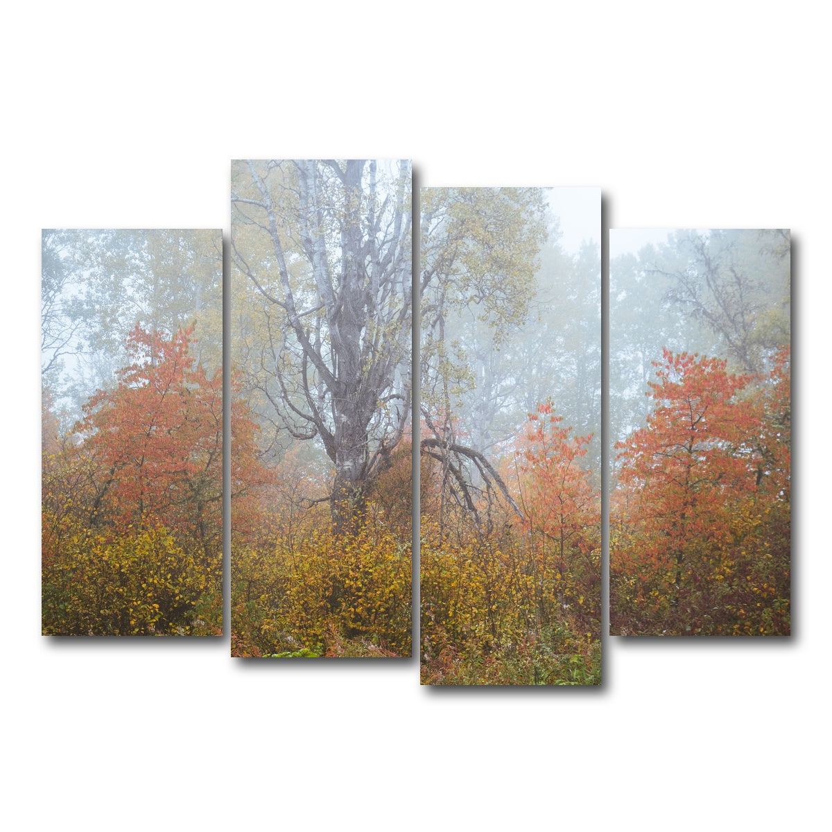 AUTO-MOCKUP WHITE | Fall Colors in Northern BC 1 | 4 Piece | Gallery Wrap Canvas | group=4_normal