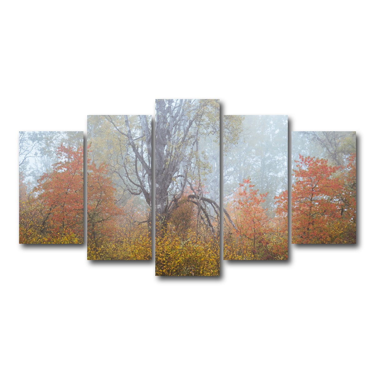 AUTO-MOCKUP WHITE | Fall Colors in Northern BC 1 | 5 Piece | Gallery Wrap Canvas | group=5_normal