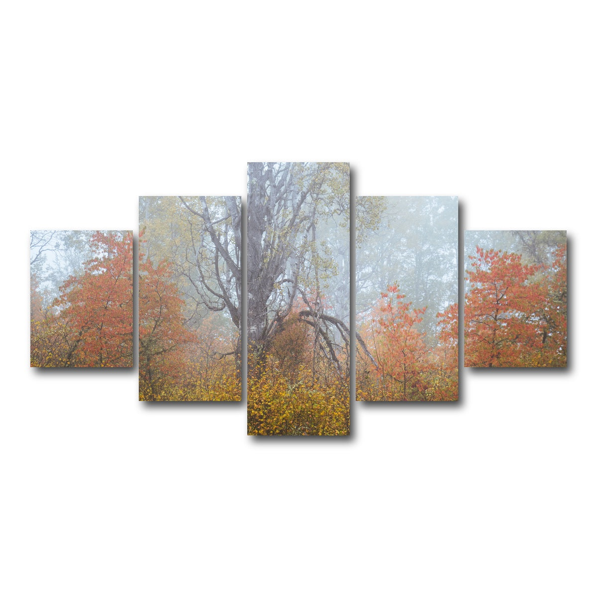 AUTO-MOCKUP WHITE | Fall Colors in Northern BC 1 | 5 Piece | Gallery Wrap Canvas | group=5_short