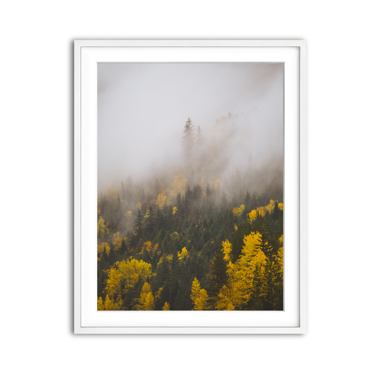 Framed Print 3x4 White