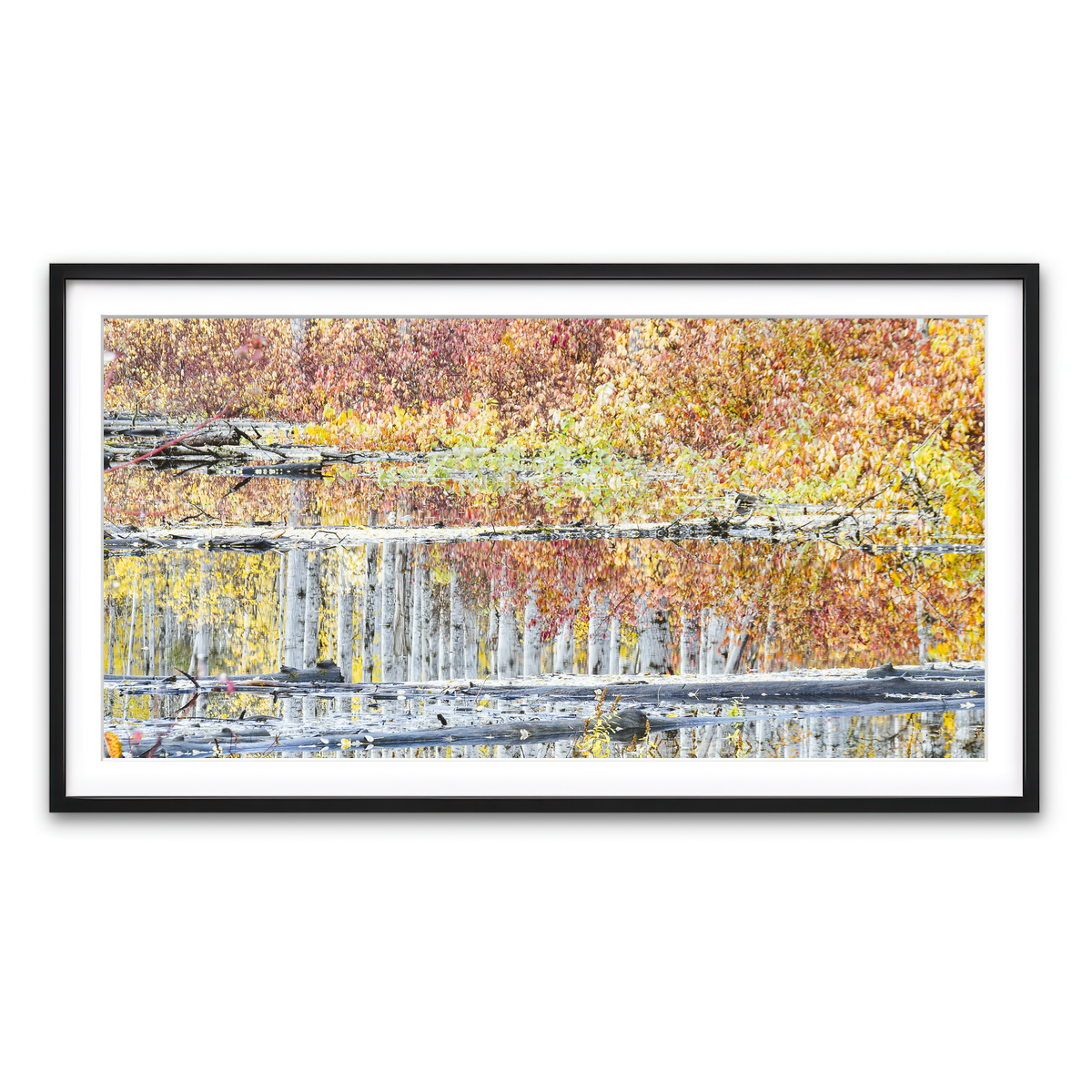 Framed Print 2x1 Black