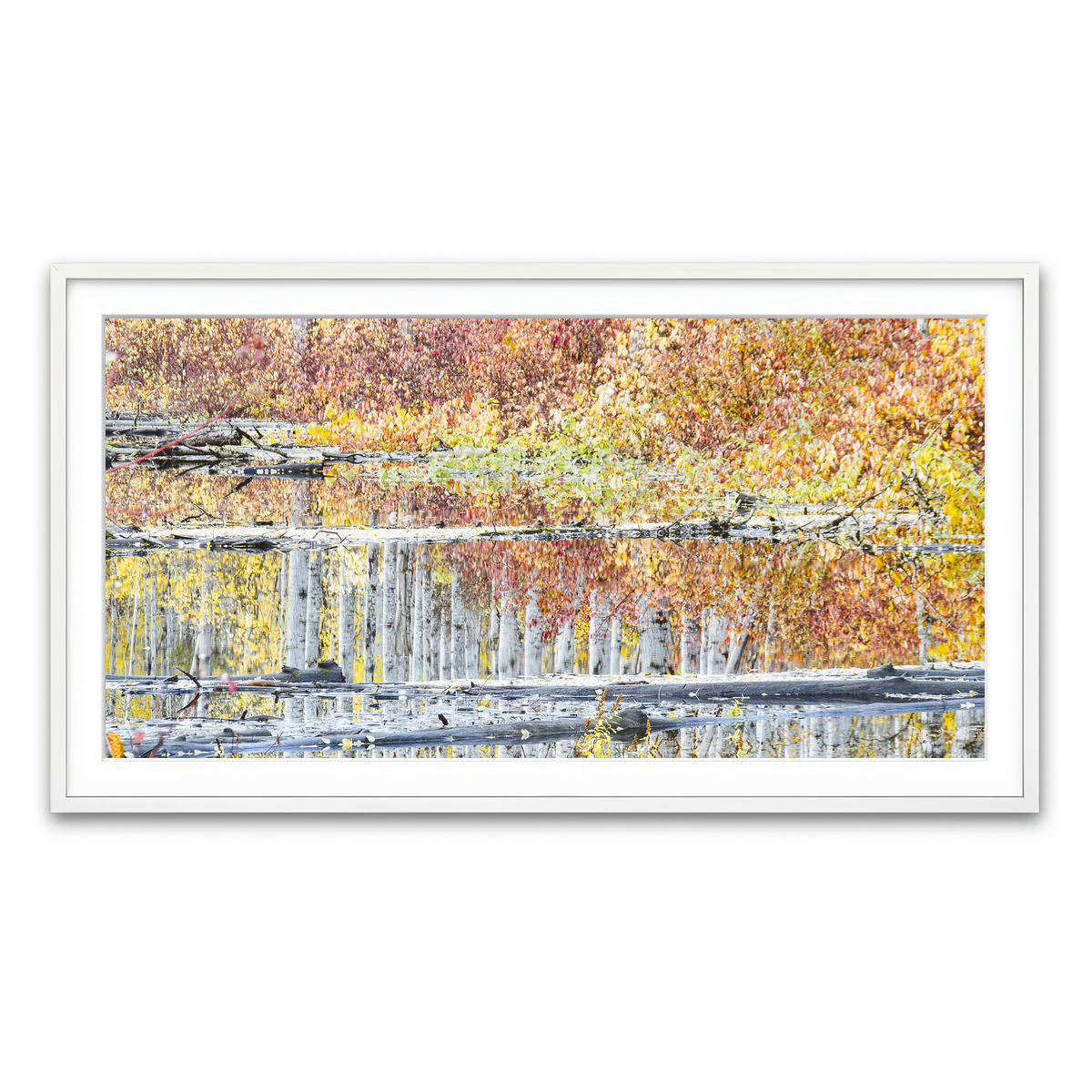 Framed Print 2x1 White