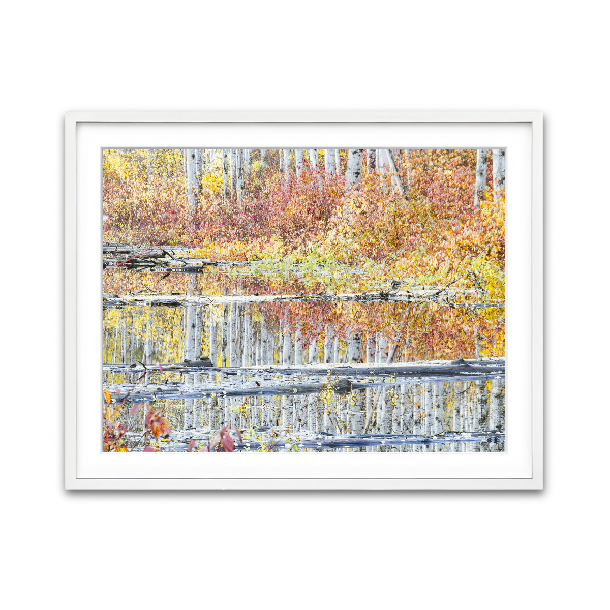 Framed Print 4x3 White