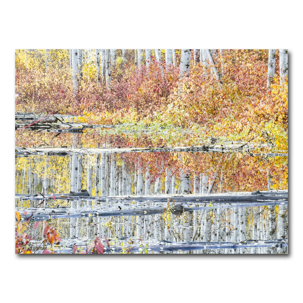 AUTO-MOCKUP WHITE | Fall Colors in Northern BC 5 | 1 Piece | Gallery Wrap Canvas | group=4x3