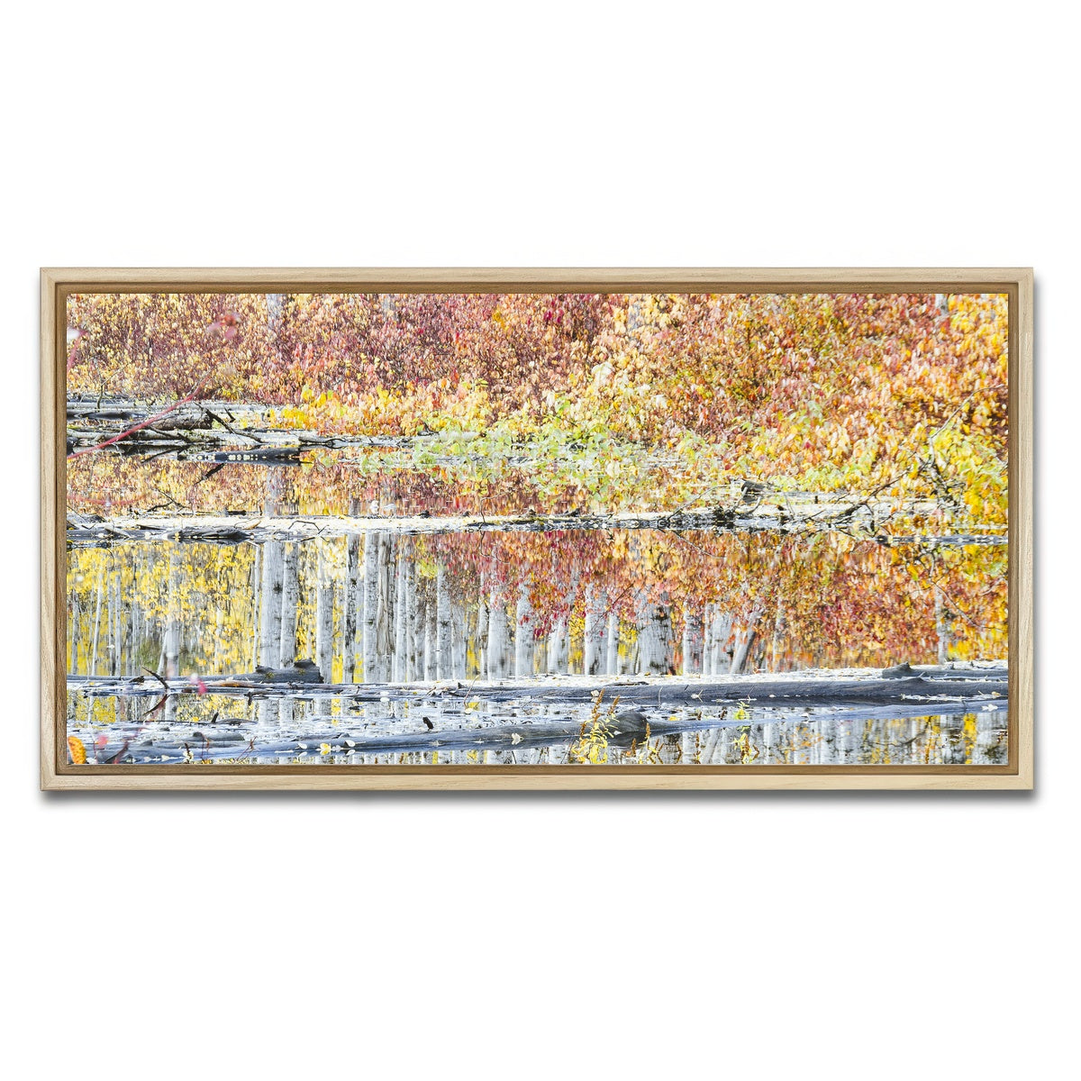 AUTO-MOCKUP WHITE | Fall Colors in Northern BC 5 | 1 Piece | Natural Framed Canvas | group=2x1