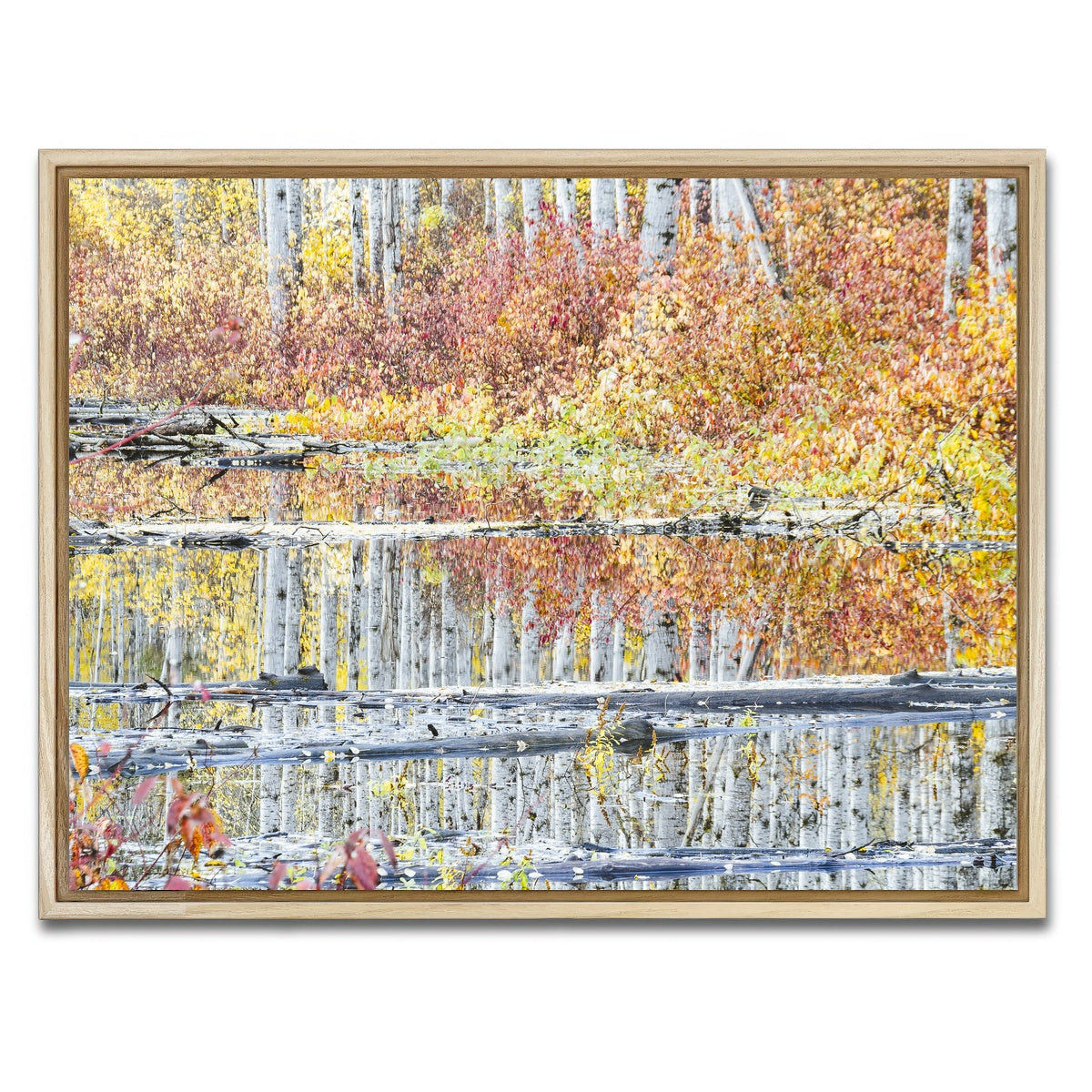 AUTO-MOCKUP WHITE | Fall Colors in Northern BC 5 | 1 Piece | Natural Framed Canvas | group=4x3