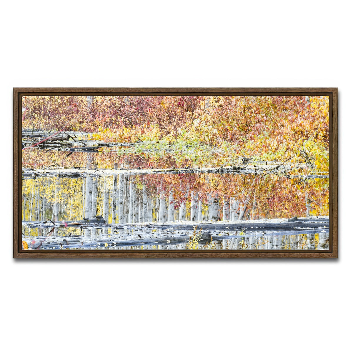 AUTO-MOCKUP WHITE | Fall Colors in Northern BC 5 | 1 Piece | Walnut Framed Canvas | group=2x1