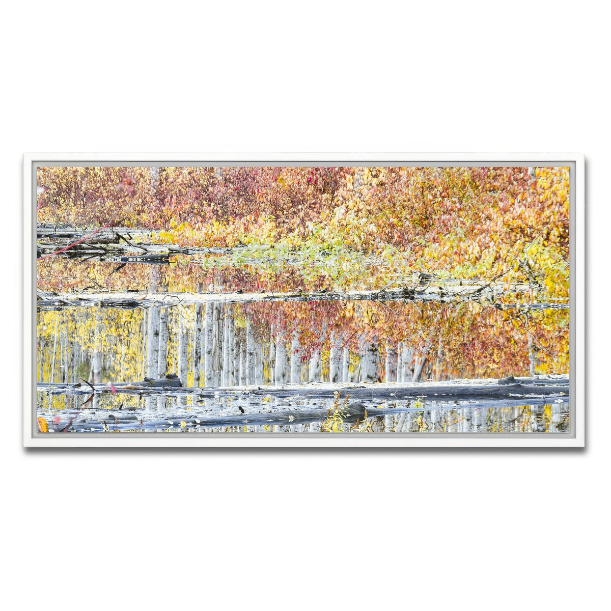 AUTO-MOCKUP WHITE | Fall Colors in Northern BC 5 | 1 Piece | White Framed Canvas | group=2x1