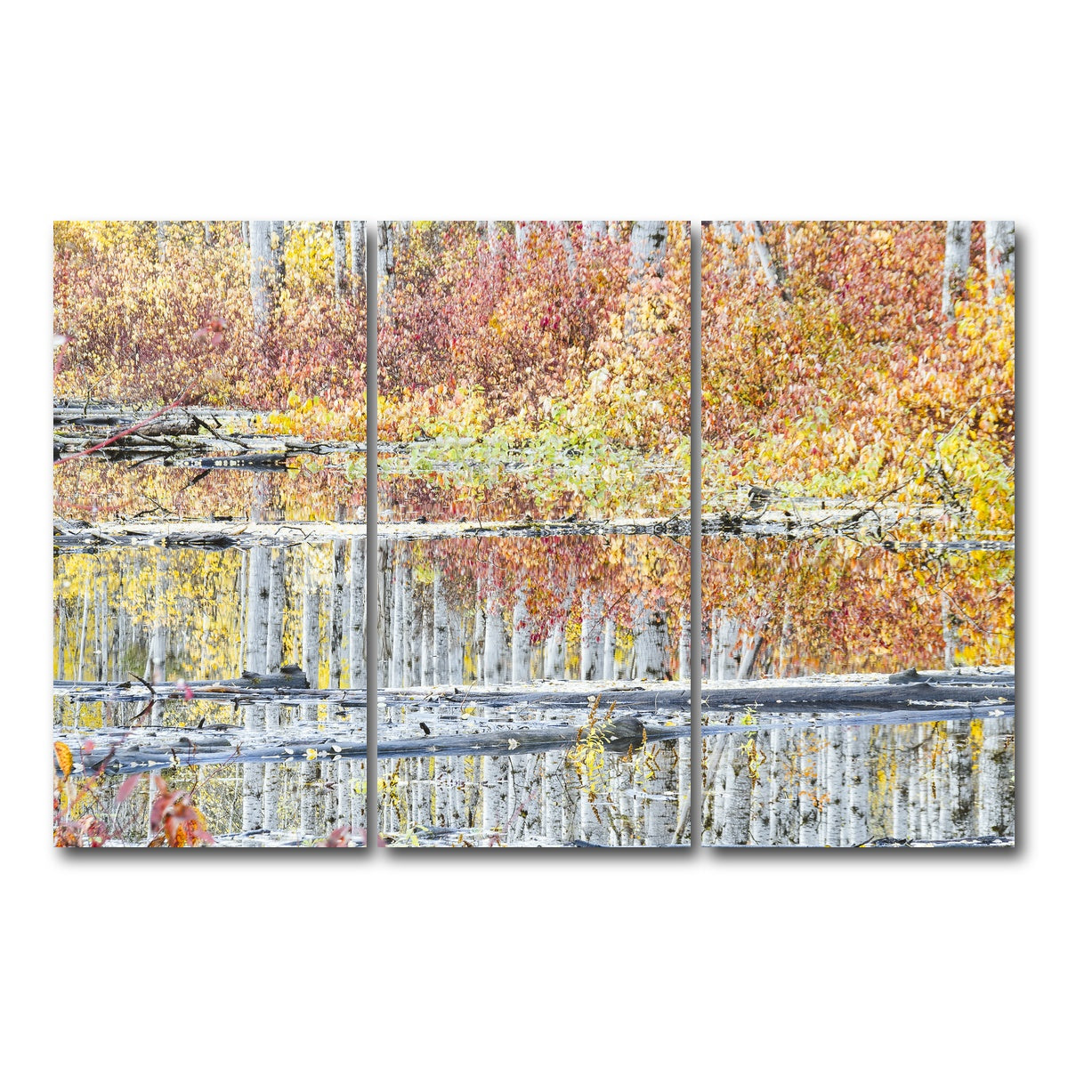 AUTO-MOCKUP WHITE | Fall Colors in Northern BC 5 | 3 Piece | Gallery Wrap Canvas | group=12x24