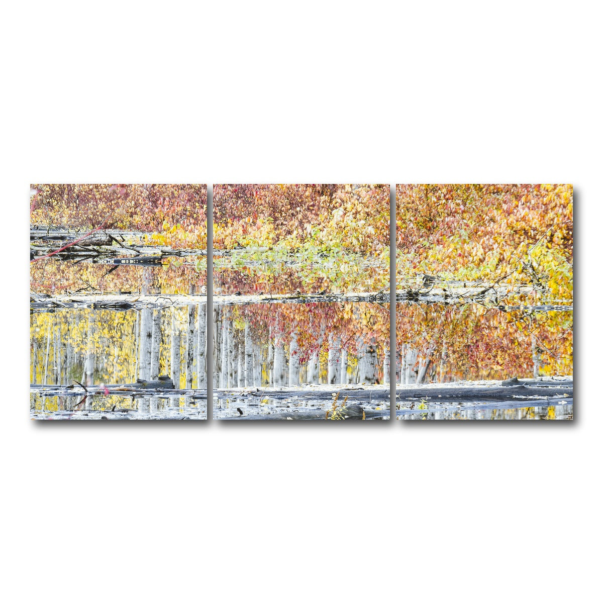 AUTO-MOCKUP WHITE | Fall Colors in Northern BC 5 | 3 Piece | Gallery Wrap Canvas | group=18x24