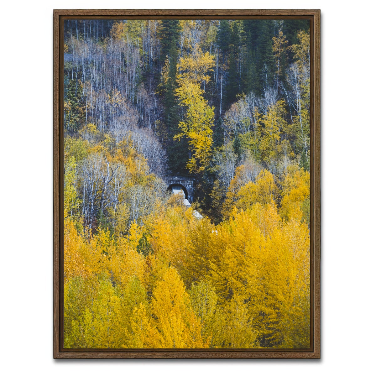AUTO-MOCKUP WHITE | Fall Colors in Northern BC 6 | 1 Piece | Walnut Framed Canvas | group=3x4