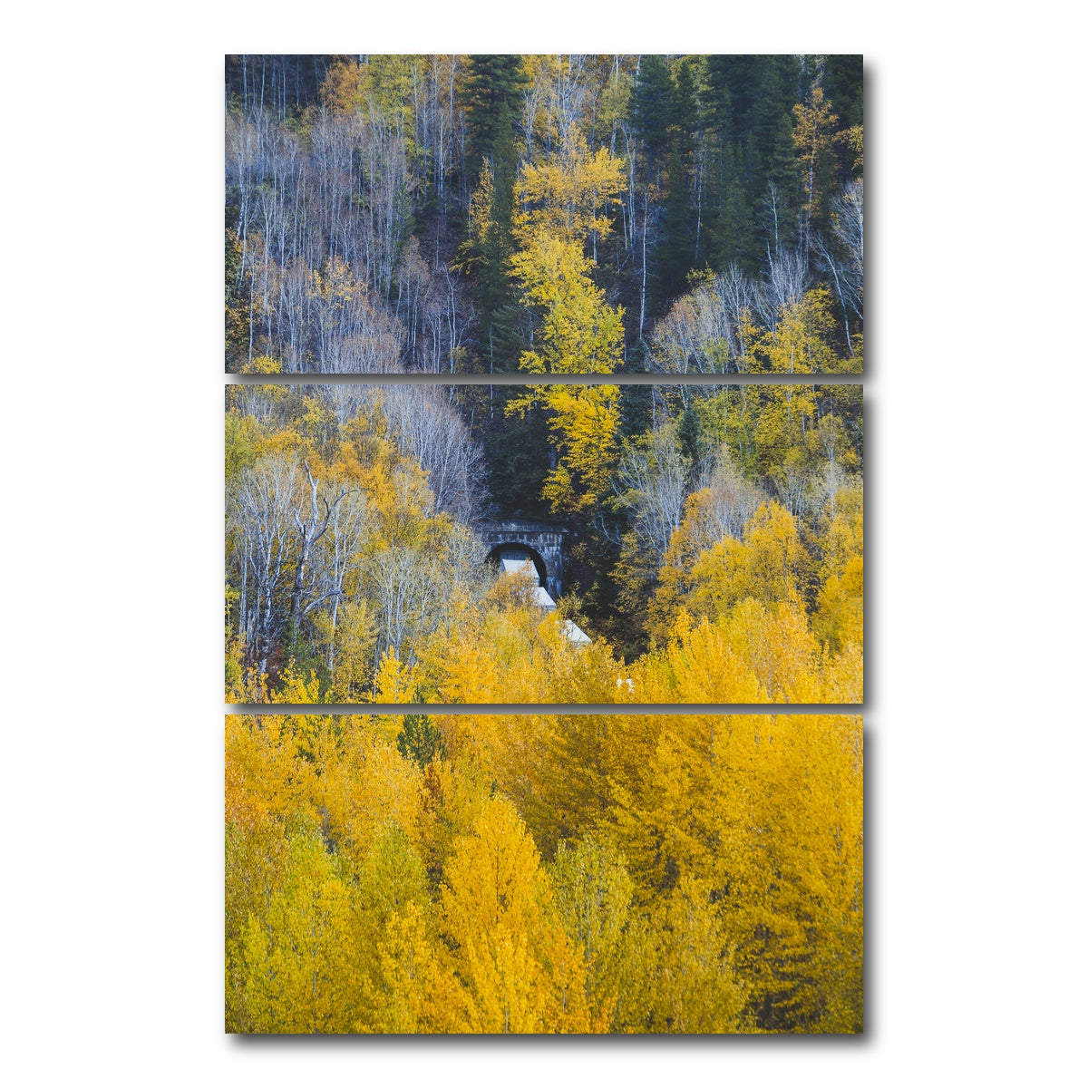 AUTO-MOCKUP WHITE | Fall Colors in Northern BC 6 | 3 Piece | Gallery Wrap Canvas | group=12x24_stacked