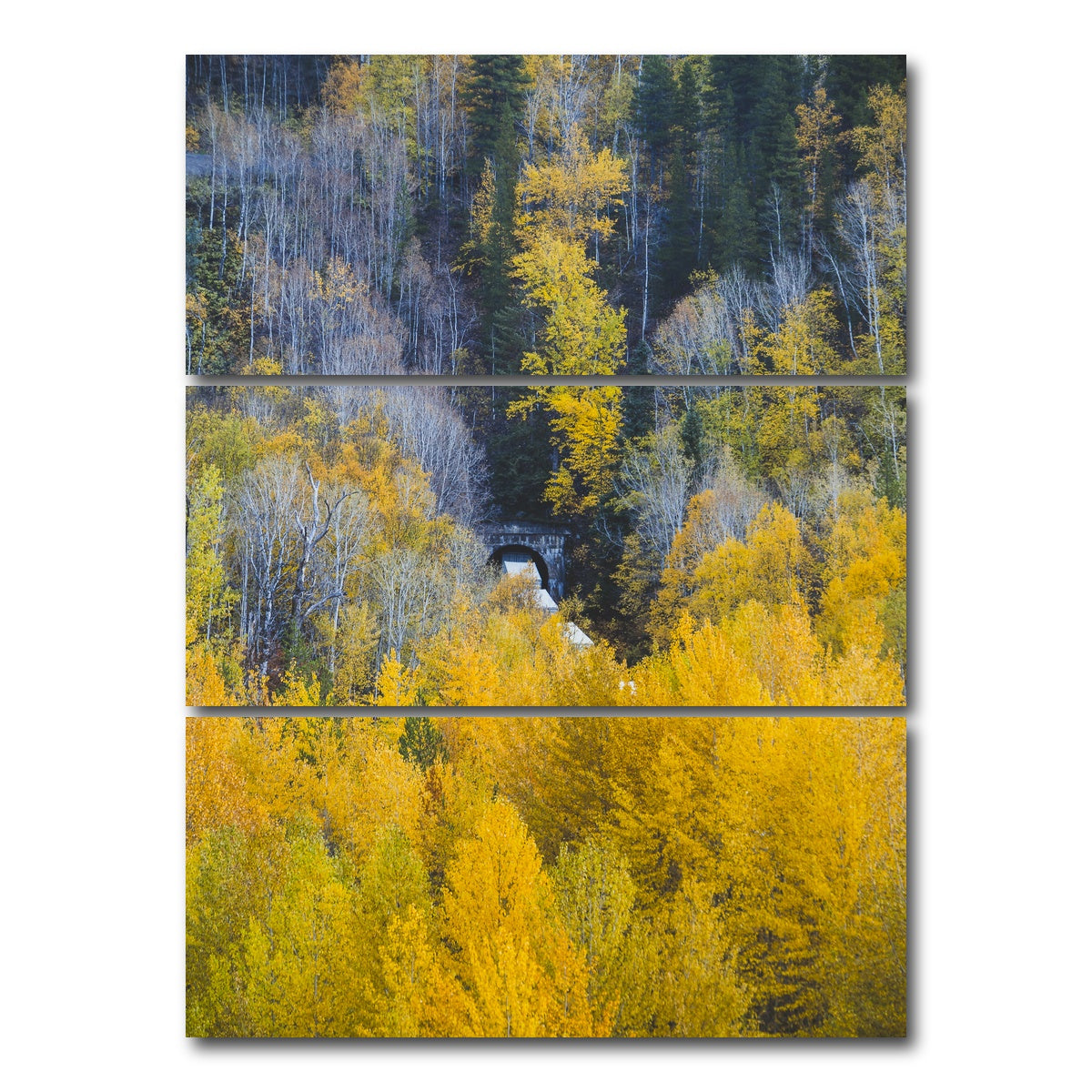 AUTO-MOCKUP WHITE | Fall Colors in Northern BC 6 | 3 Piece | Gallery Wrap Canvas | group=8x18_stacked