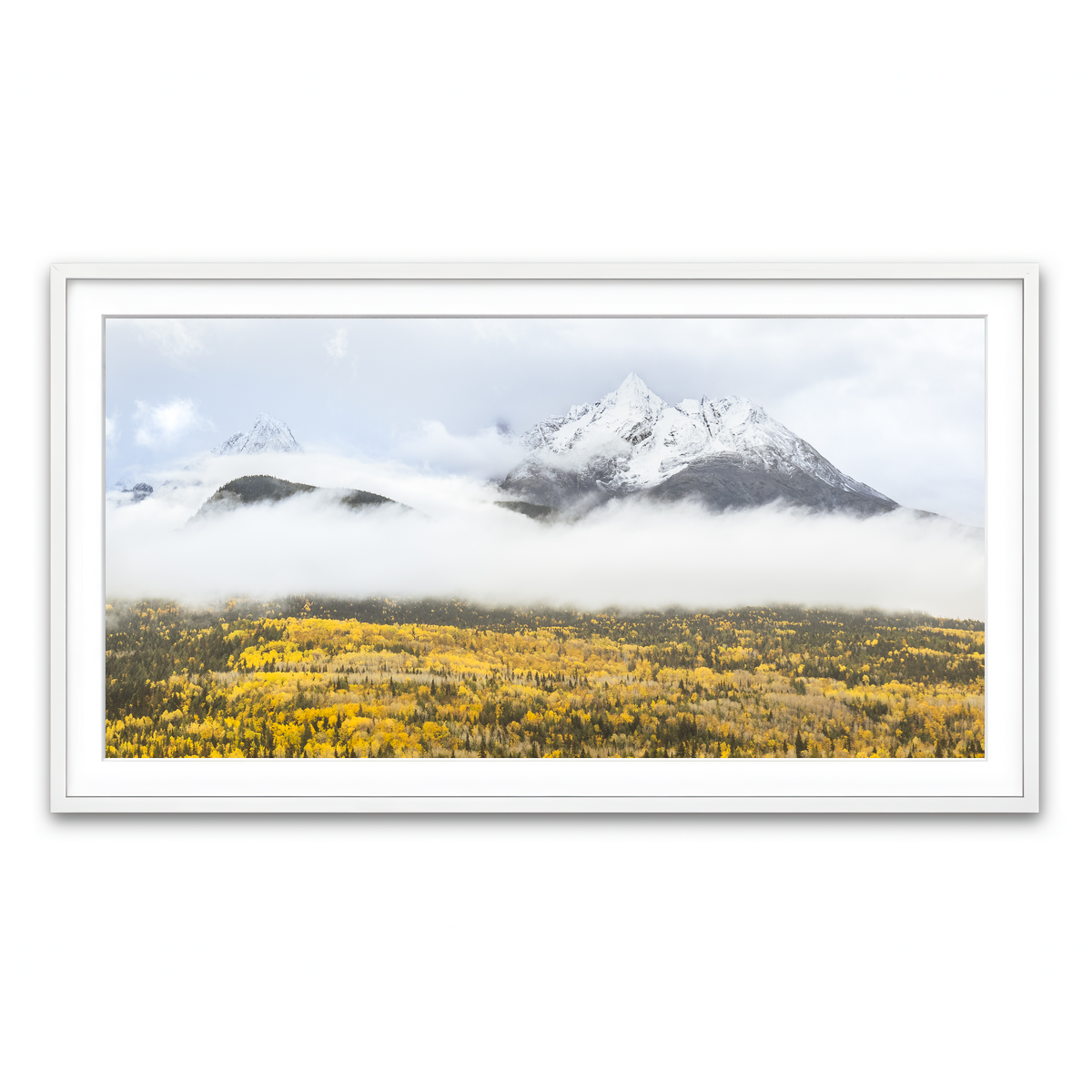 Framed Print 2x1 White