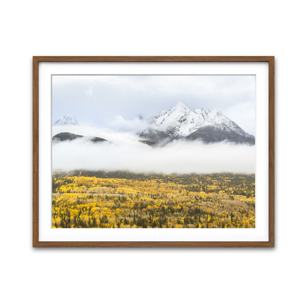 Framed Print 4x3 Walnut