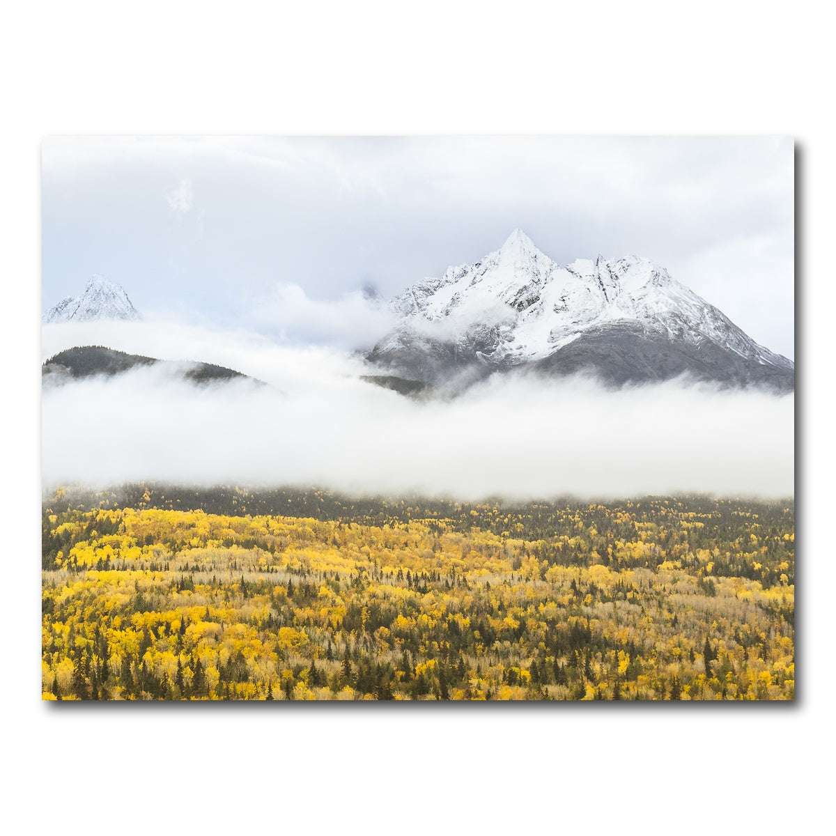 AUTO-MOCKUP WHITE | Fall Colors in Northern BC 8 | 1 Piece | Gallery Wrap Canvas | group=4x3