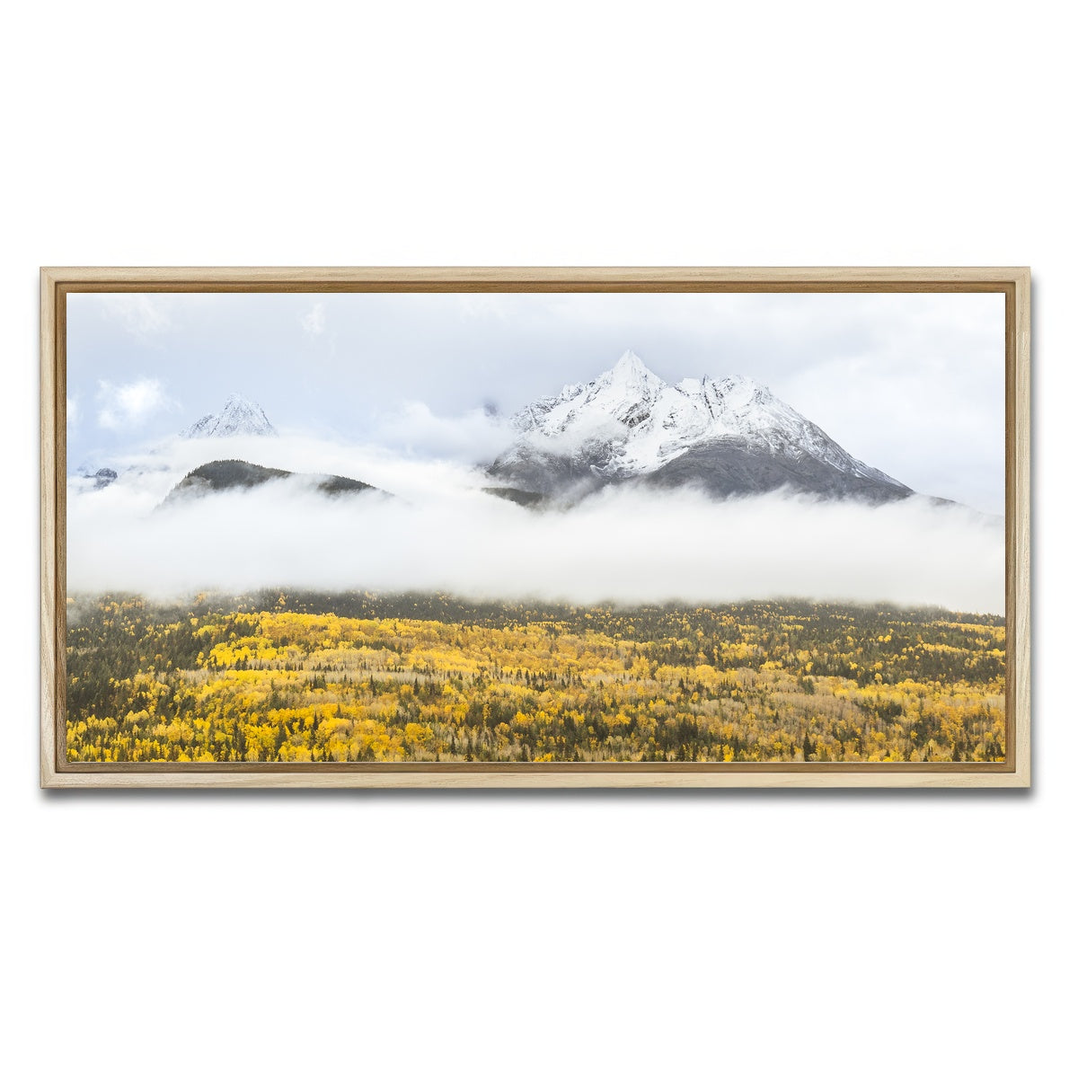 AUTO-MOCKUP WHITE | Fall Colors in Northern BC 8 | 1 Piece | Natural Framed Canvas | group=2x1