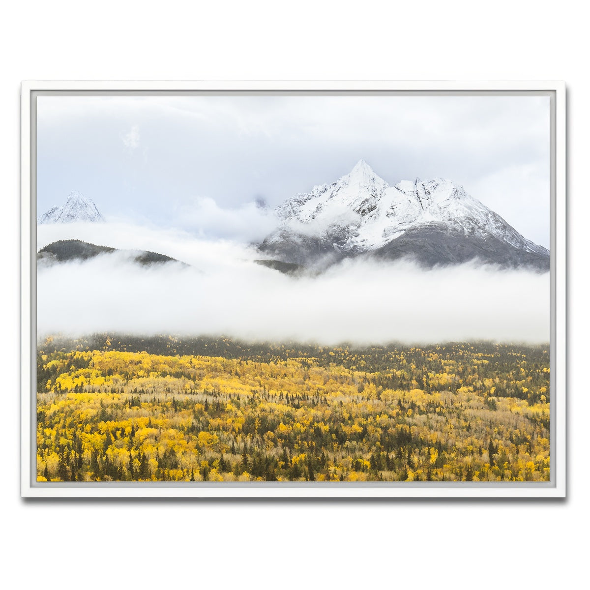 AUTO-MOCKUP WHITE | Fall Colors in Northern BC 8 | 1 Piece | White Framed Canvas | group=4x3