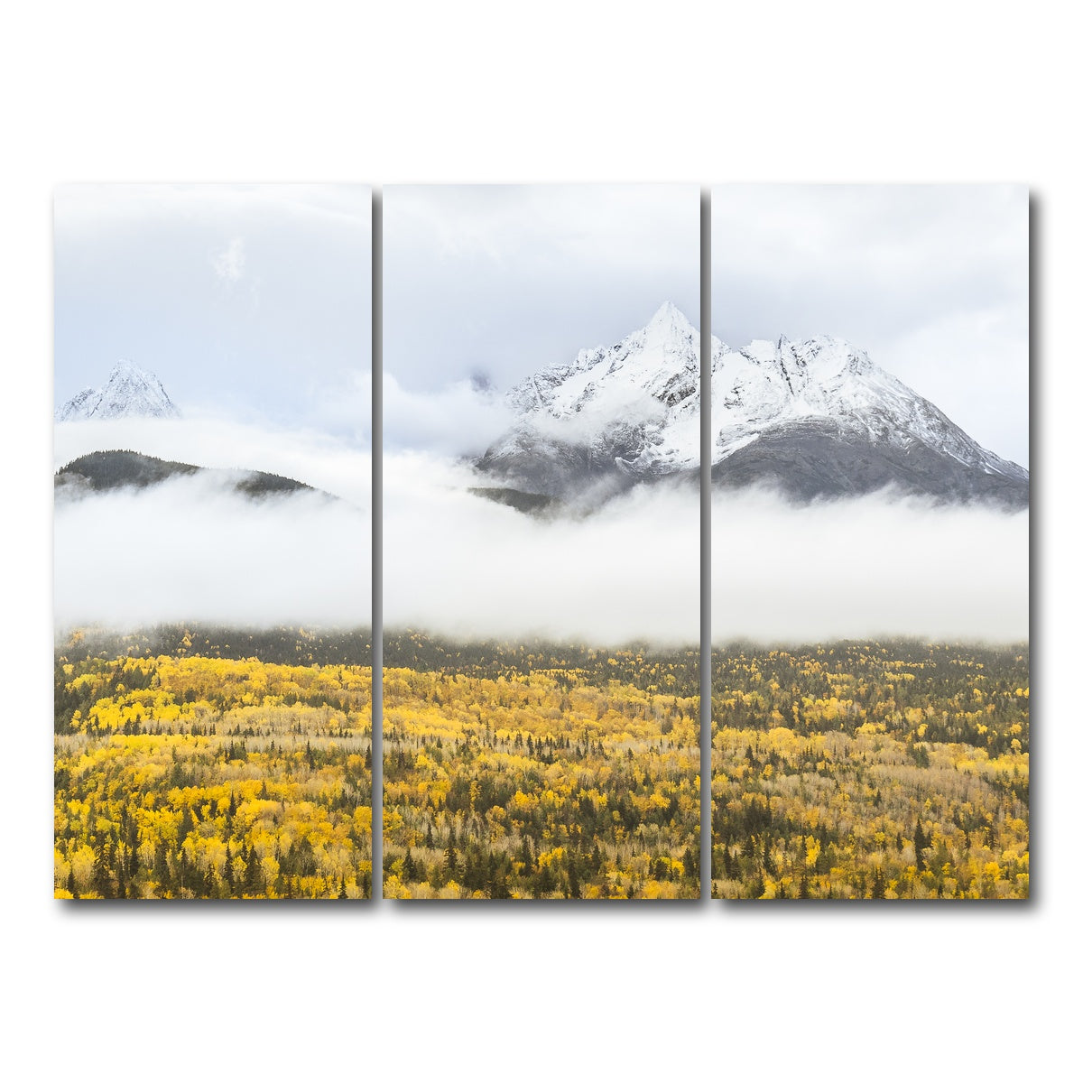 AUTO-MOCKUP WHITE | Fall Colors in Northern BC 8 | 3 Piece | Gallery Wrap Canvas | group=8x18
