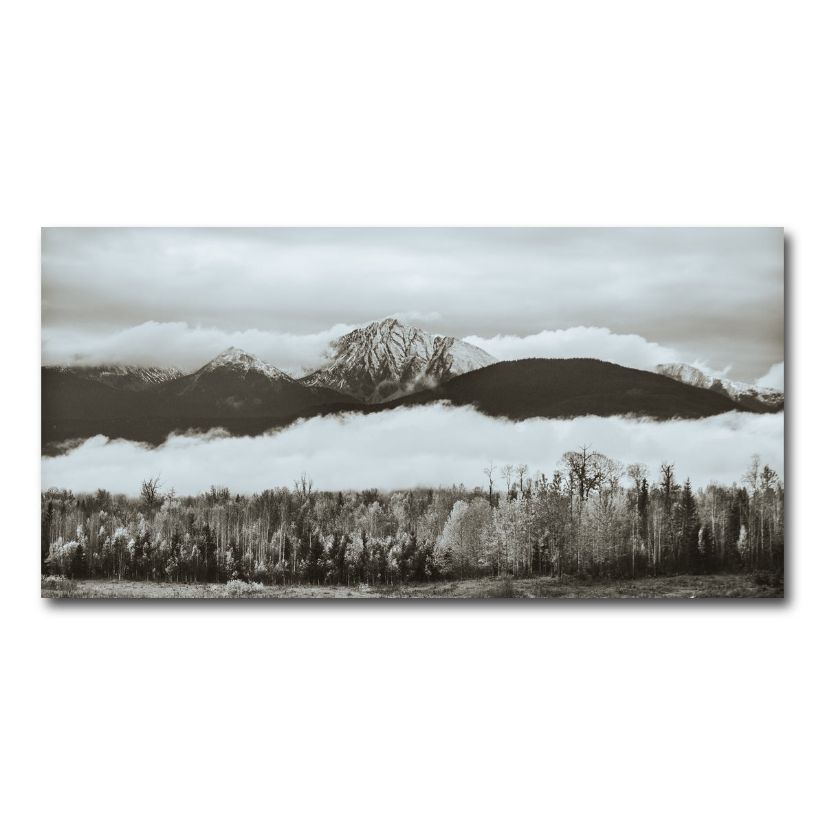 AUTO-MOCKUP WHITE | Fall Colors in Northern BC 9 | 1 Piece | Gallery Wrap Canvas | group=2x1