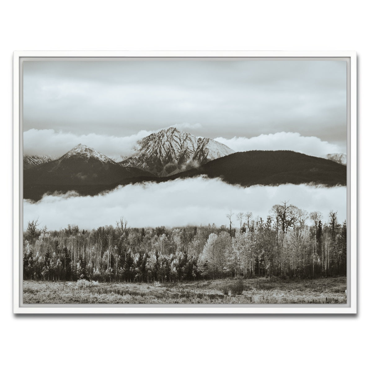 AUTO-MOCKUP WHITE | Fall Colors in Northern BC 9 | 1 Piece | White Framed Canvas | group=4x3