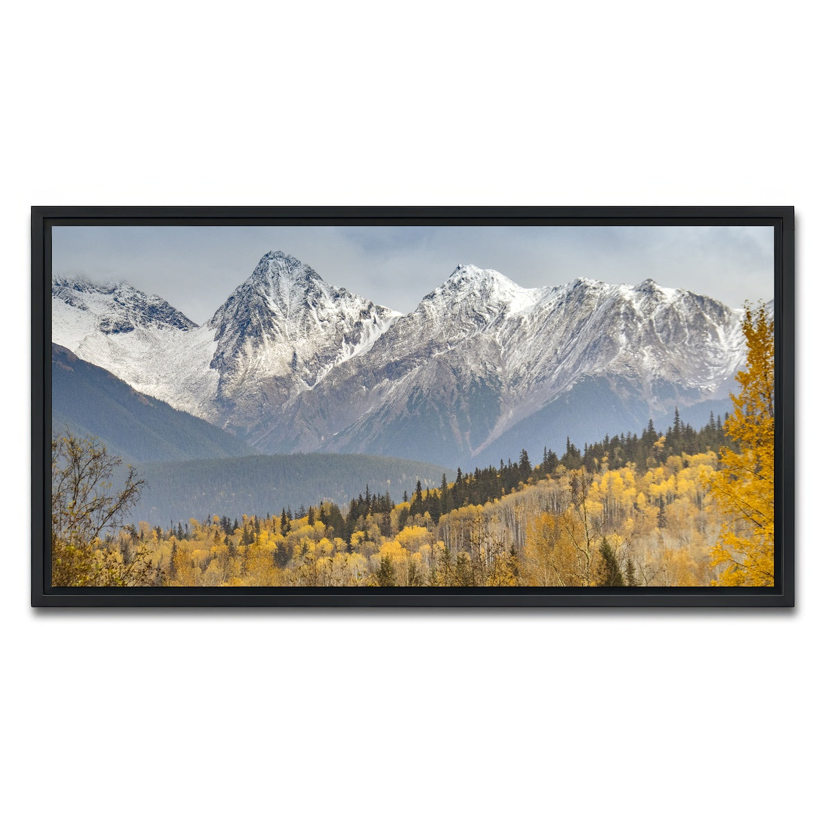 AUTO-MOCKUP WHITE | Fall Colors in Northern BC | 1 Piece | Black Framed Canvas | group=2x1