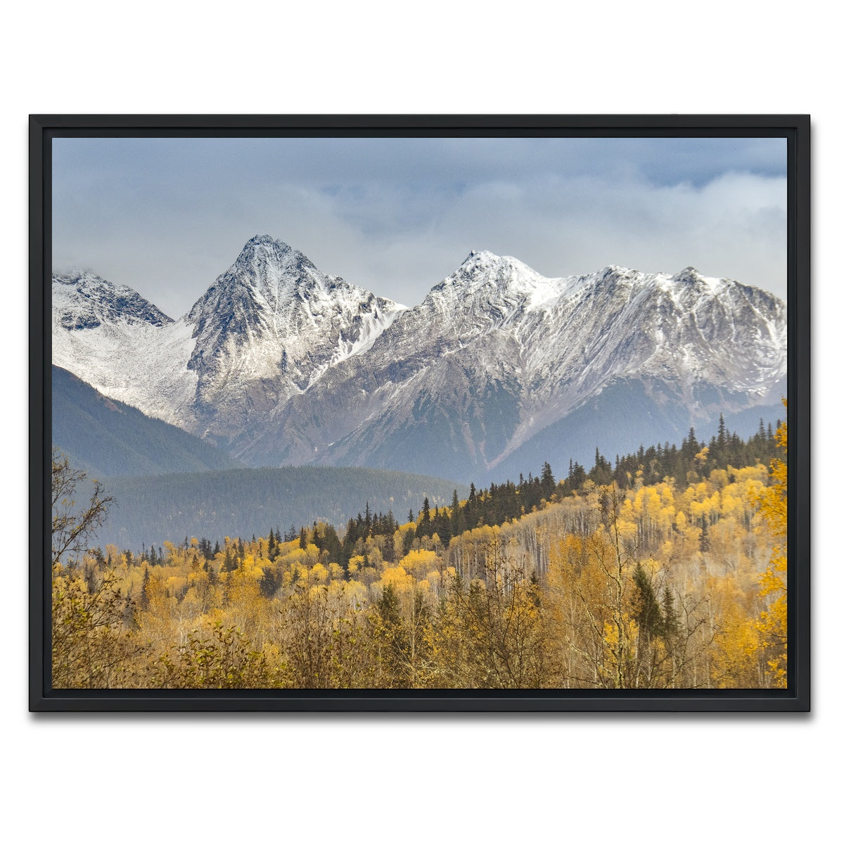 AUTO-MOCKUP WHITE | Fall Colors in Northern BC | 1 Piece | Black Framed Canvas | group=4x3