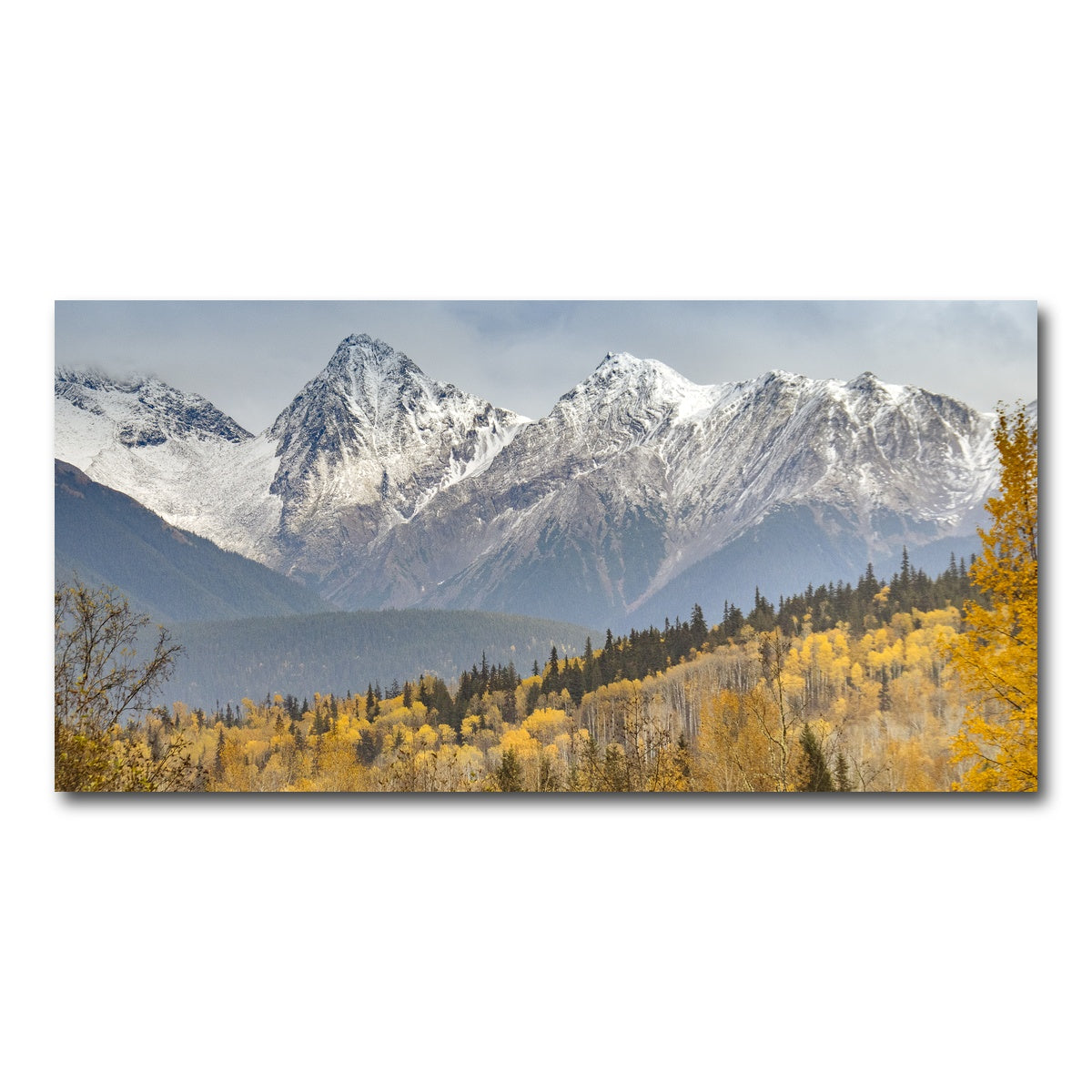 AUTO-MOCKUP WHITE | Fall Colors in Northern BC | 1 Piece | Gallery Wrap Canvas | group=2x1