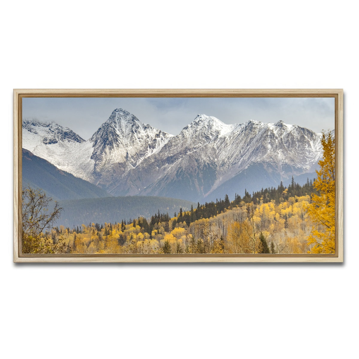 AUTO-MOCKUP WHITE | Fall Colors in Northern BC | 1 Piece | Natural Framed Canvas | group=2x1