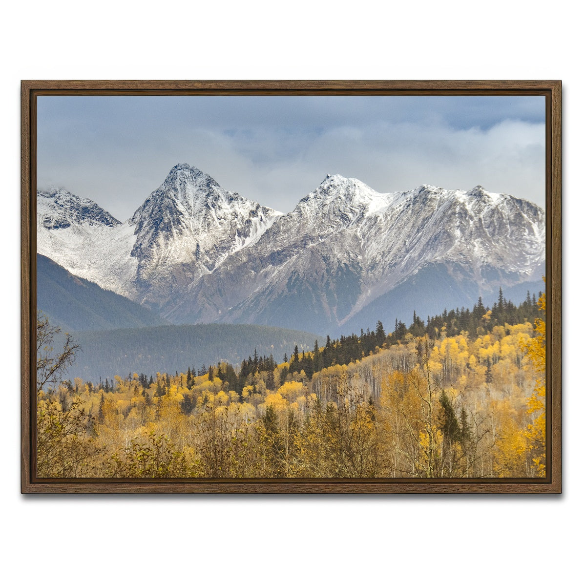 AUTO-MOCKUP WHITE | Fall Colors in Northern BC | 1 Piece | Walnut Framed Canvas | group=4x3