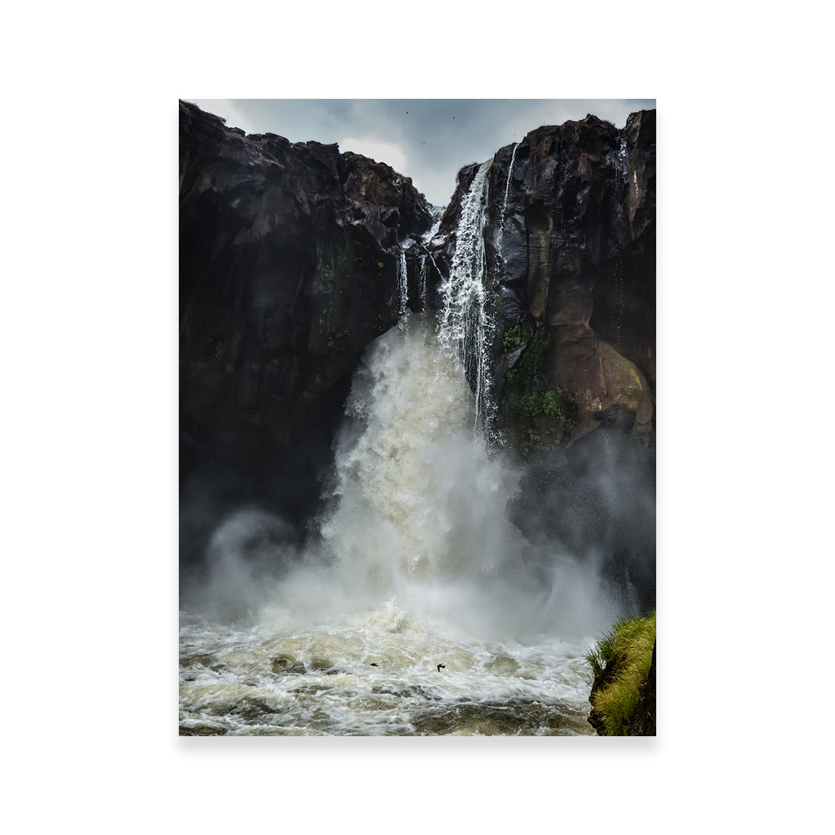 Fearless Birds at Prata Waterfall Wall Art