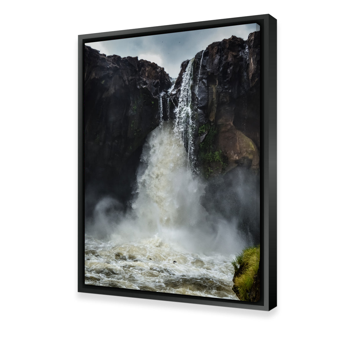 Fearless Birds at Prata Waterfall Wall Art