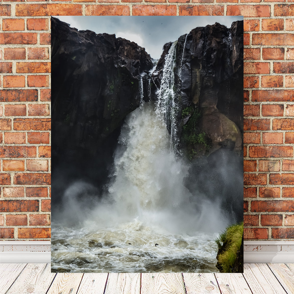Fearless Birds at Prata Waterfall Wall Art