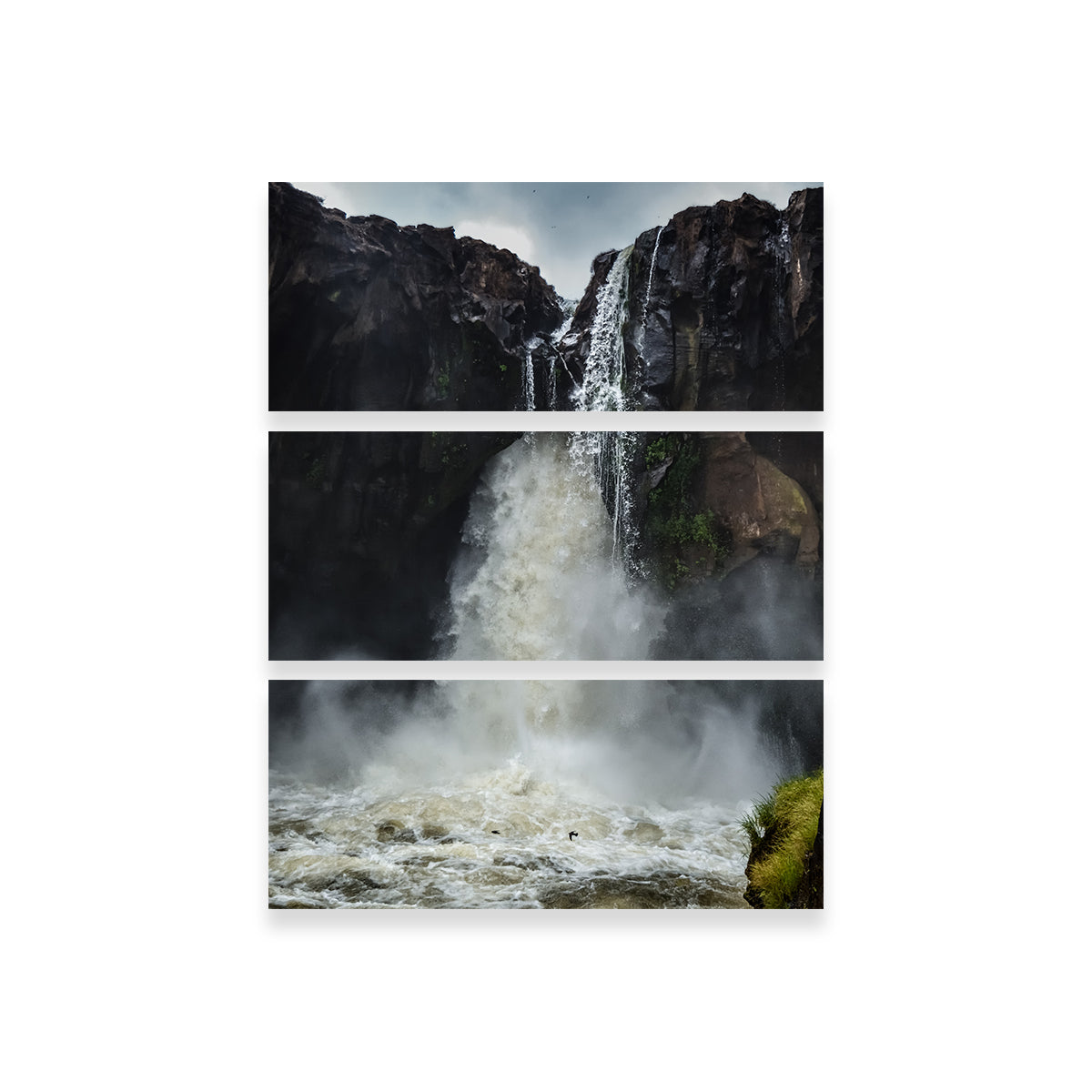 Fearless Birds at Prata Waterfall Wall Art