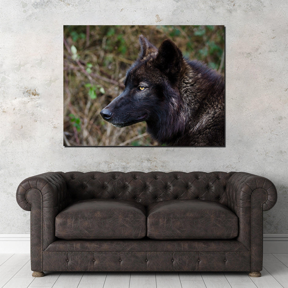 Female Black Wolf Wall Art