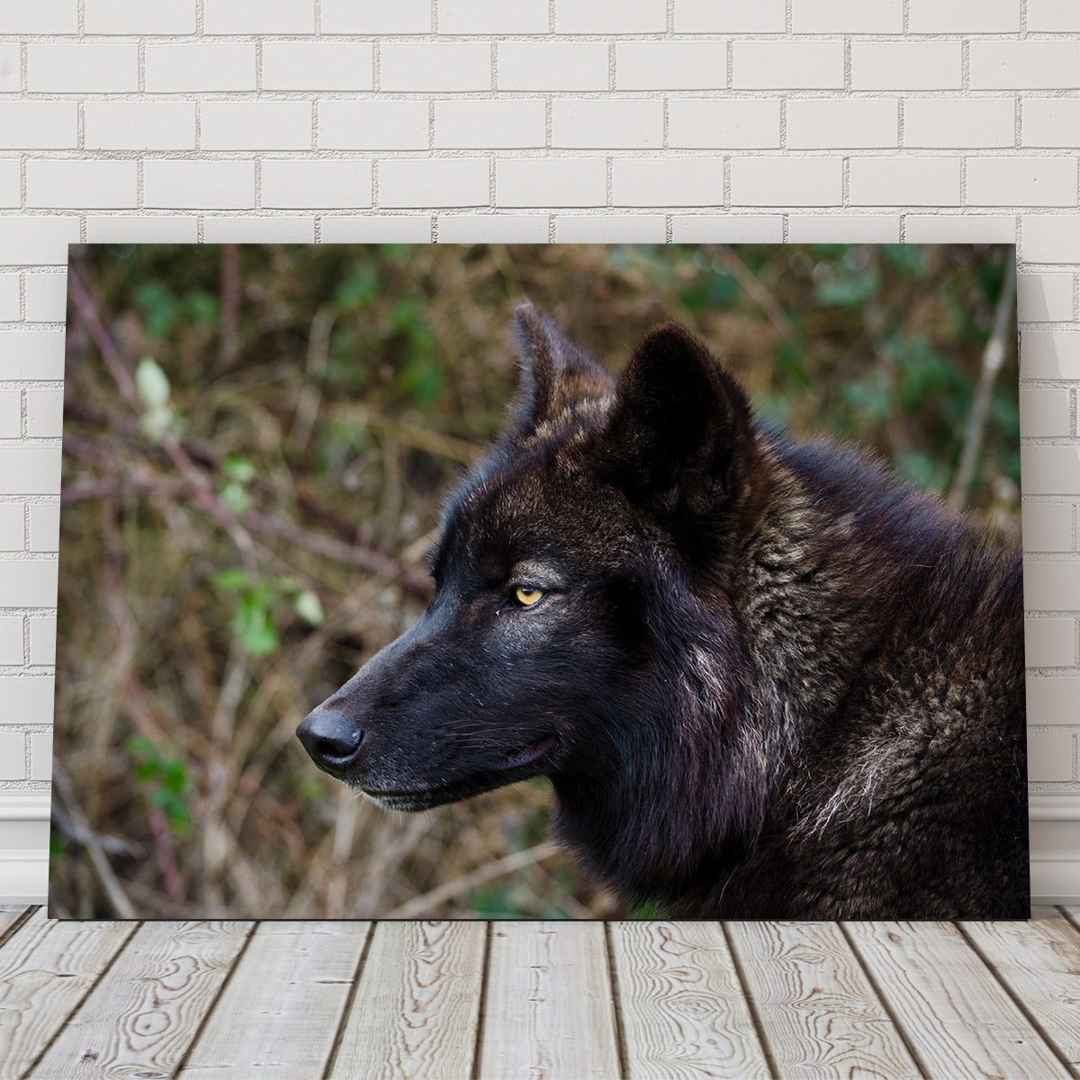 Female Black Wolf Wall Art