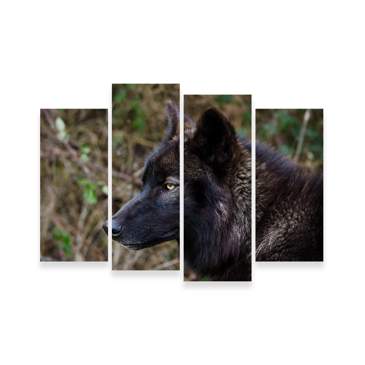 Female Black Wolf Wall Art