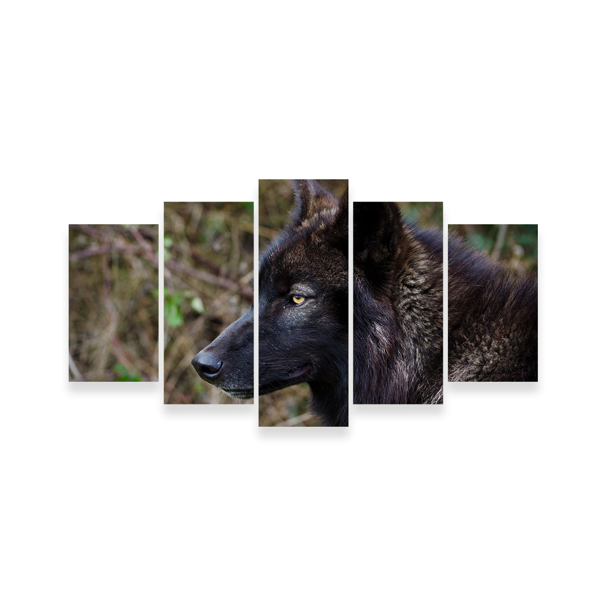 Female Black Wolf Wall Art