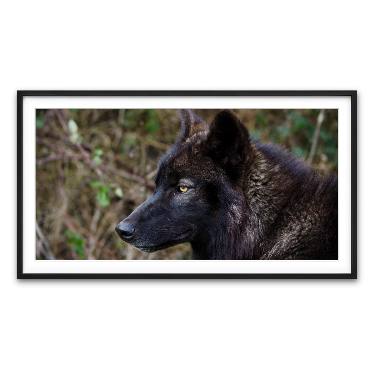 Framed Print 2x1 Black