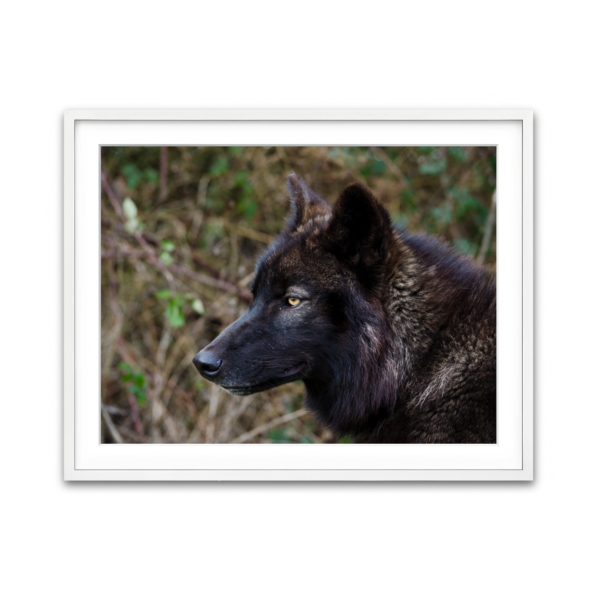 Framed Print 4x3 White