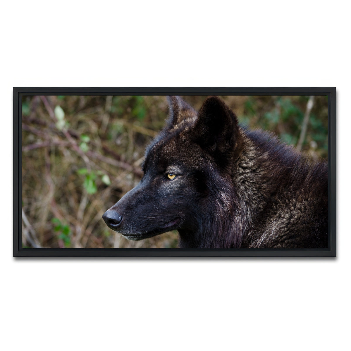 AUTO-MOCKUP WHITE | Female Black Wolf | 1 Piece | Black Framed Canvas | group=2x1