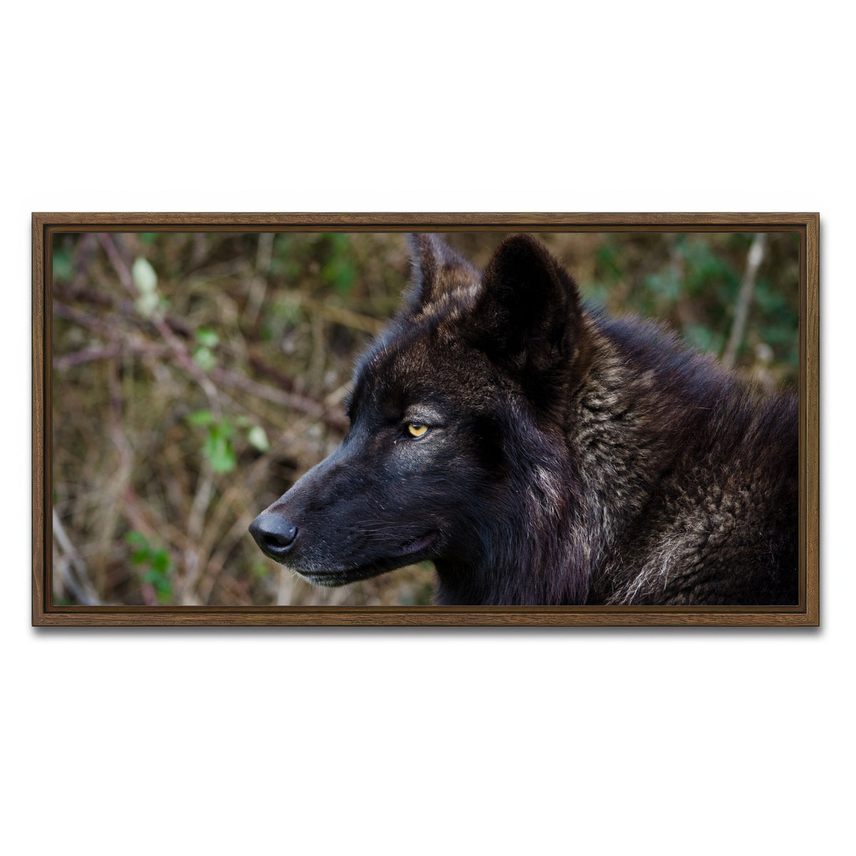 AUTO-MOCKUP WHITE | Female Black Wolf | 1 Piece | Walnut Framed Canvas | group=2x1
