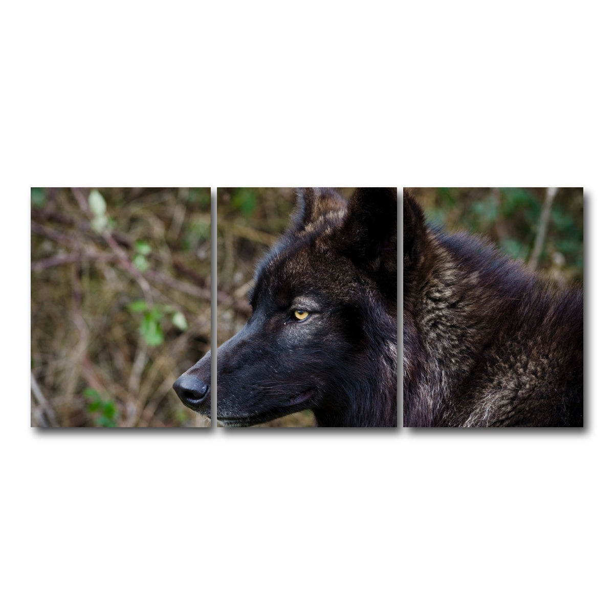 AUTO-MOCKUP WHITE | Female Black Wolf | 3 Piece | Gallery Wrap Canvas | group=18x24