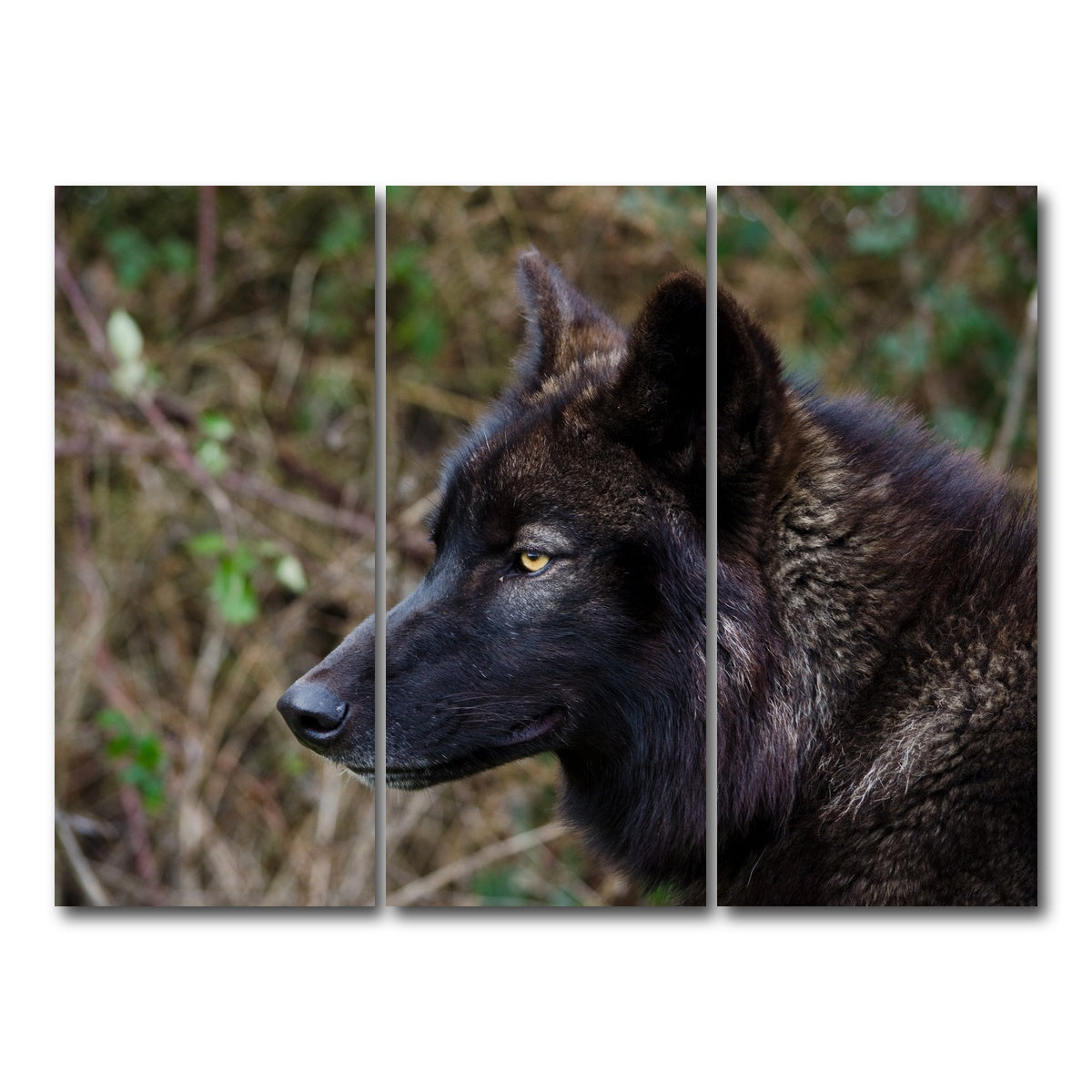 AUTO-MOCKUP WHITE | Female Black Wolf | 3 Piece | Gallery Wrap Canvas | group=8x18