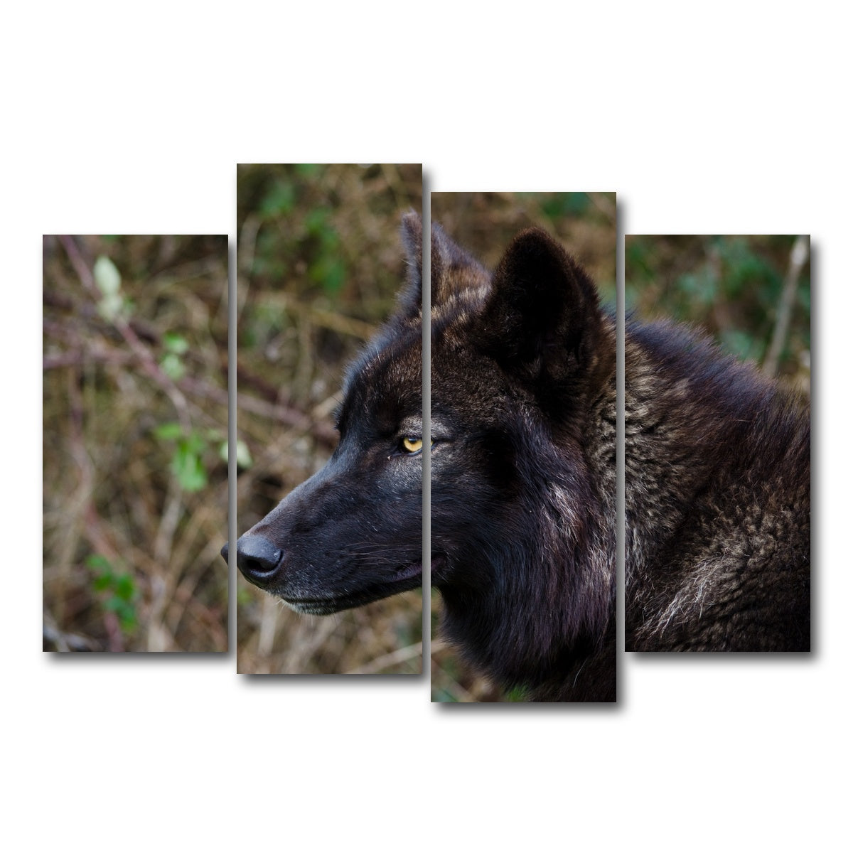 AUTO-MOCKUP WHITE | Female Black Wolf | 4 Piece | Gallery Wrap Canvas | group=4_normal