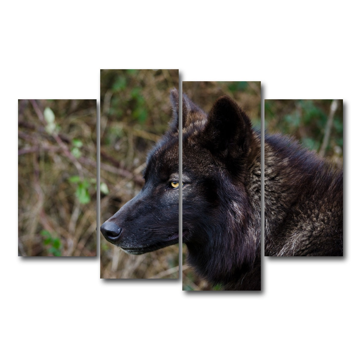 AUTO-MOCKUP WHITE | Female Black Wolf | 4 Piece | Gallery Wrap Canvas | group=4_short